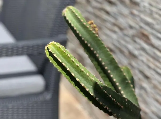 Fashion Vivalavida, Private Pool X Parking Βίλα *