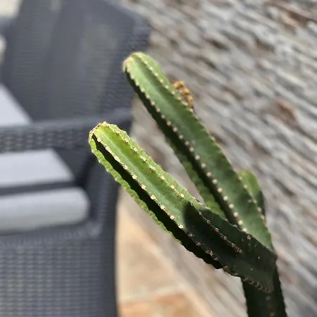 Fashion Vivalavida, Private Pool X Parking Villa *