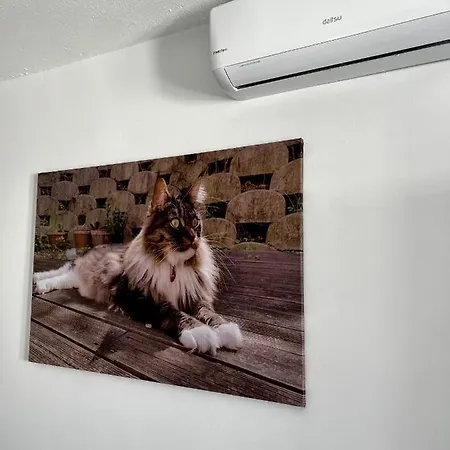 Fashion Vivalavida, Private Pool X Parking Villa Playa Blanca